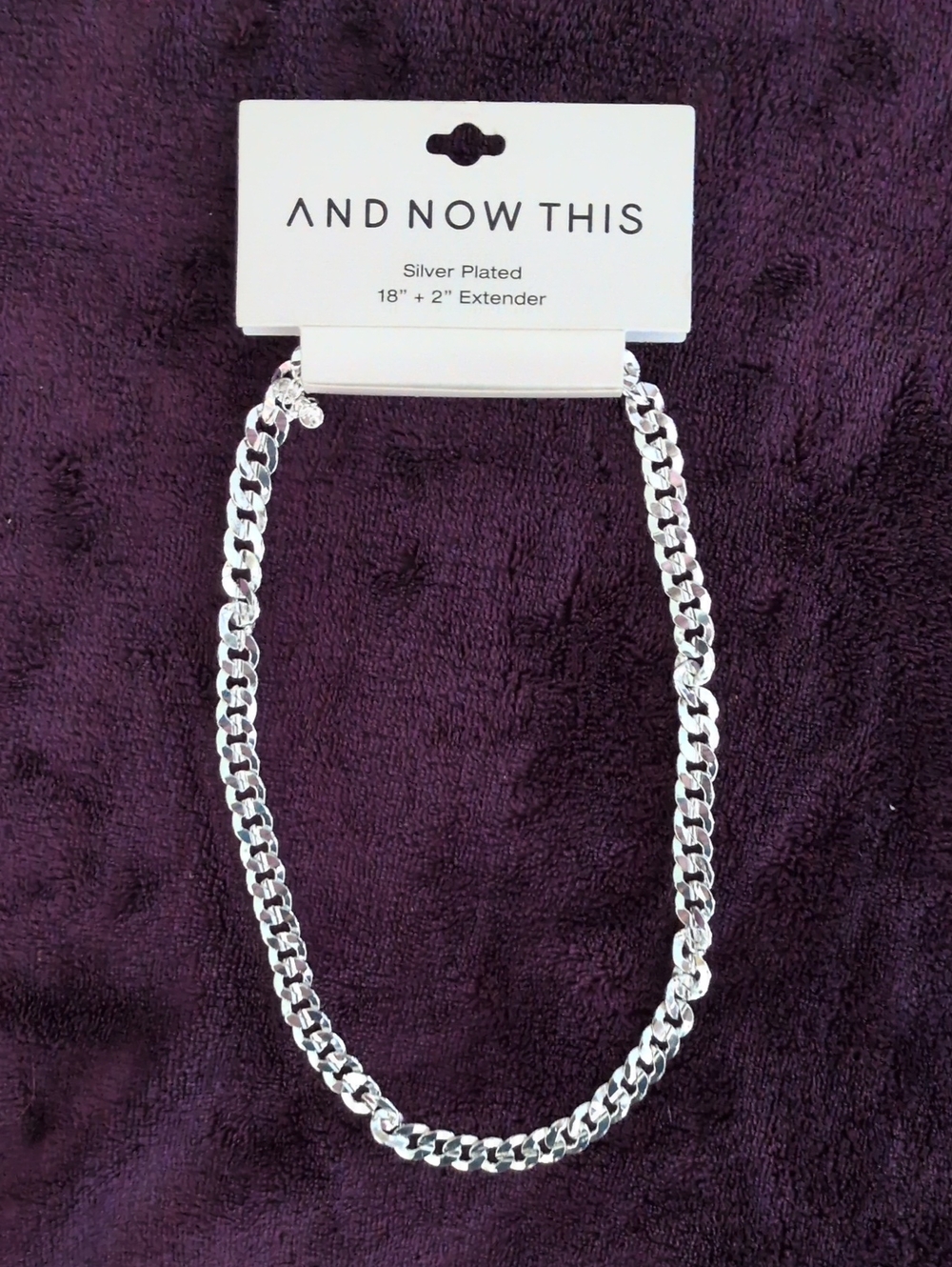 NWT Silver Plated Curb Chain Necklace